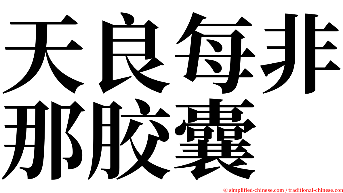 天良每非那胶囊 serif font