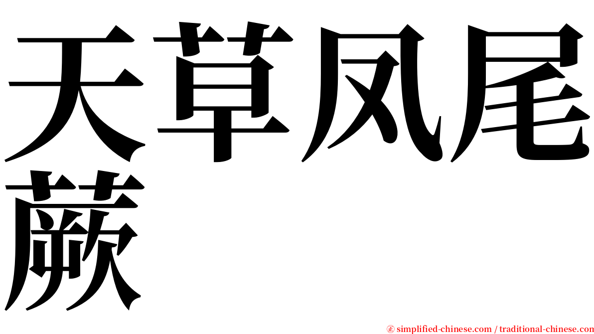 天草凤尾蕨 serif font