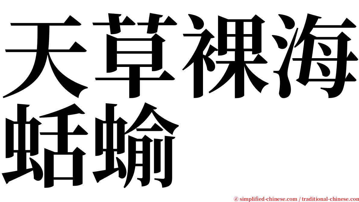 天草裸海蛞蝓 serif font