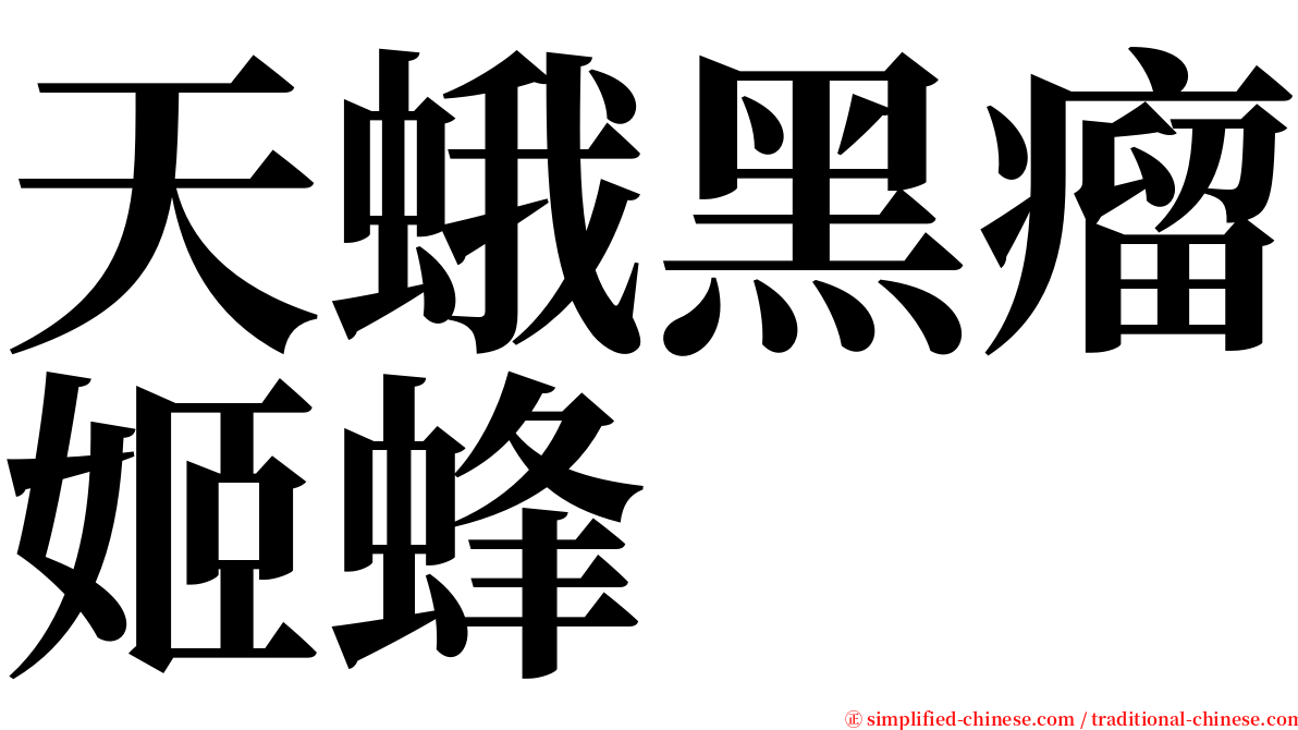 天蛾黑瘤姬蜂 serif font