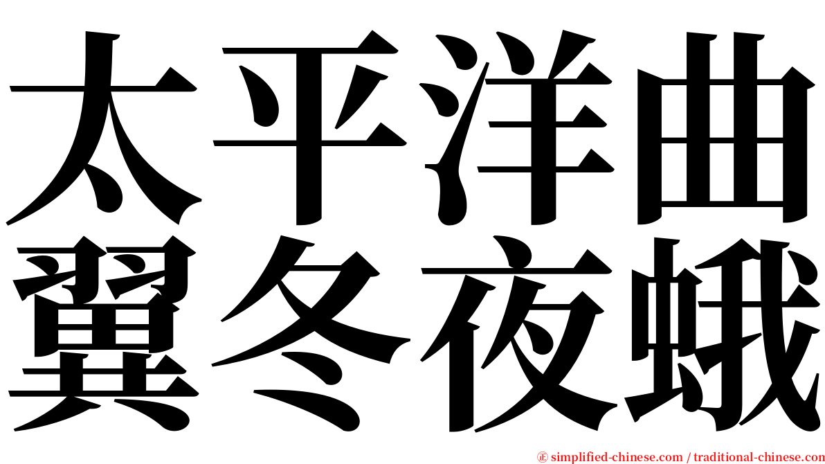 太平洋曲翼冬夜蛾 serif font