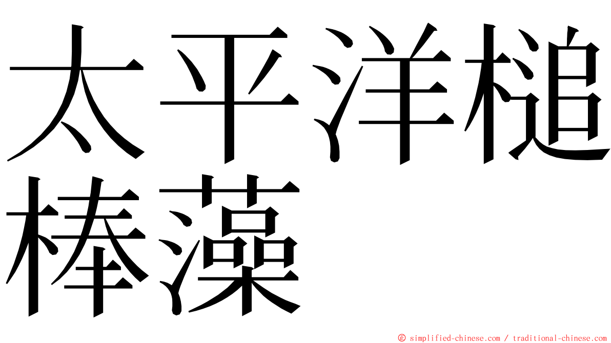 太平洋槌棒藻 ming font