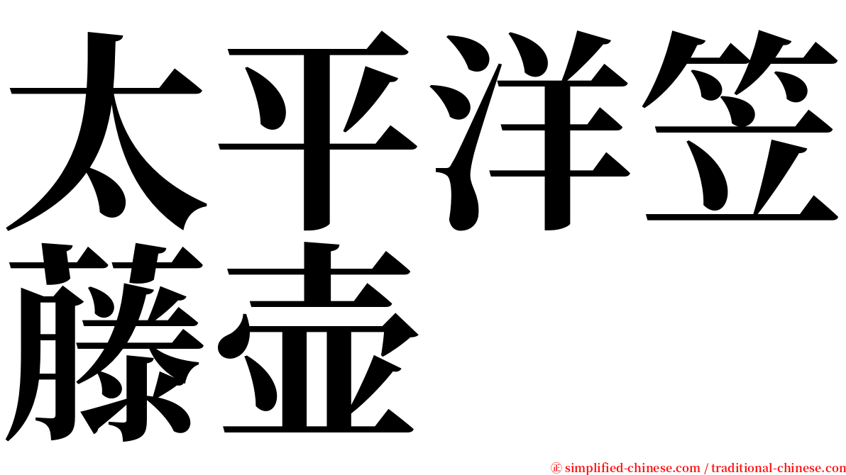 太平洋笠藤壶 serif font