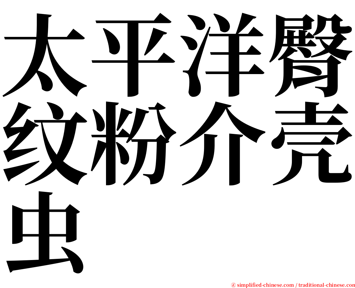 太平洋臀纹粉介壳虫 serif font