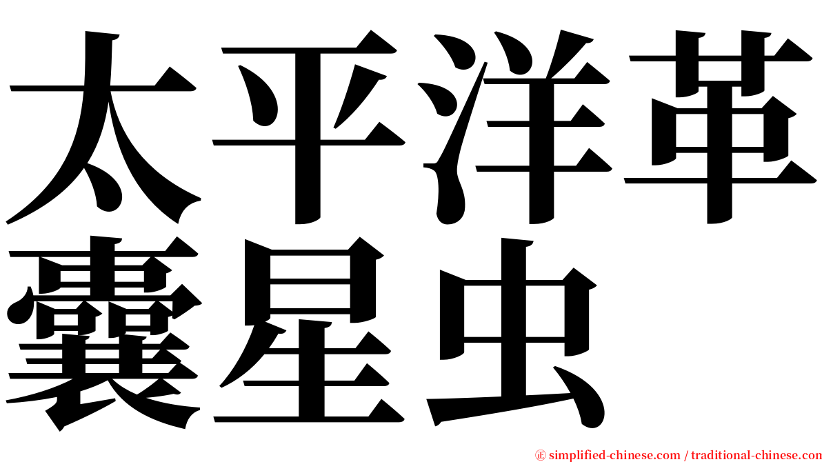 太平洋革囊星虫 serif font