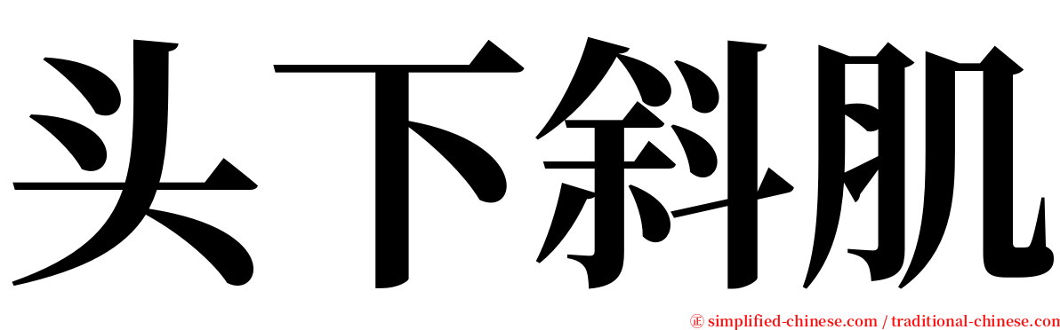 头下斜肌 serif font