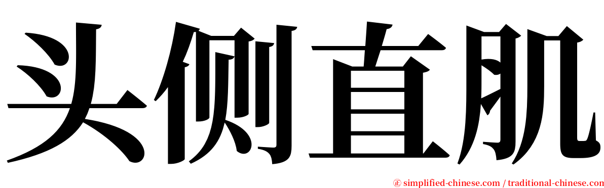 头侧直肌 serif font