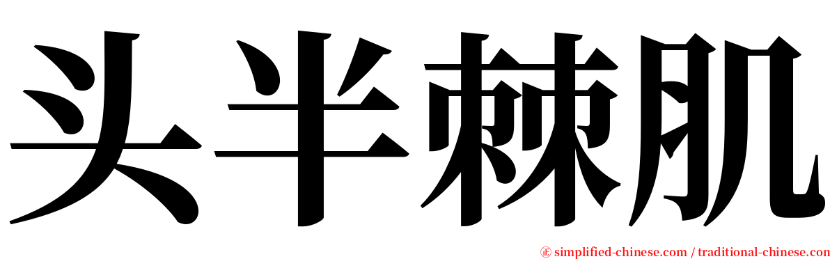 头半棘肌 serif font