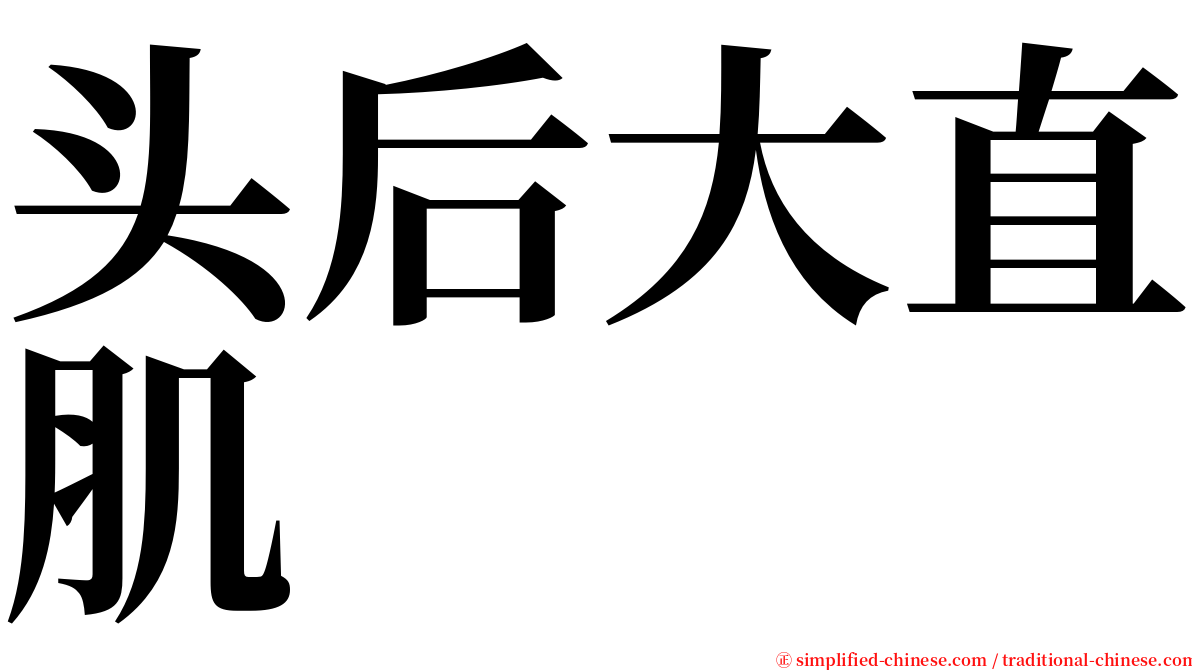 头后大直肌 serif font