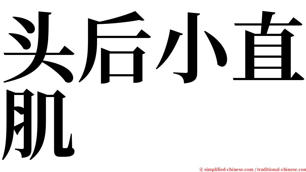 头后小直肌 serif font