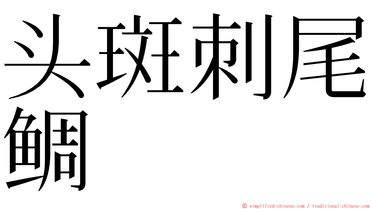 头斑刺尾鲷 ming font