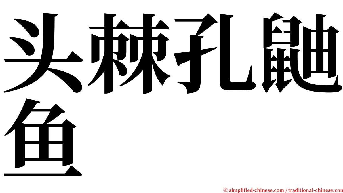 头棘孔鼬鱼 serif font