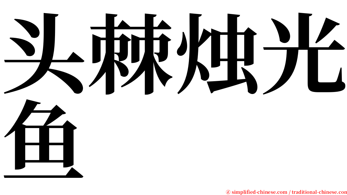 头棘烛光鱼 serif font