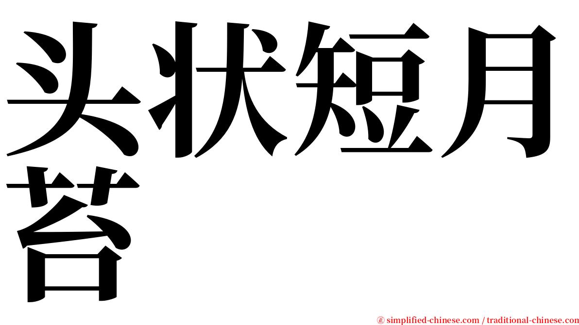 头状短月苔 serif font