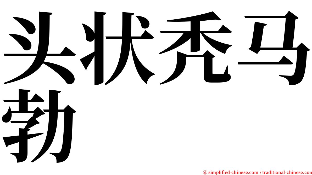 头状秃马勃 serif font