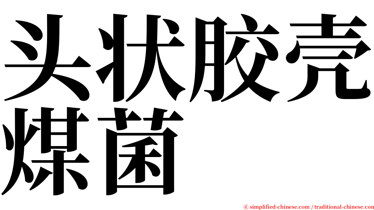 头状胶壳煤菌 serif font