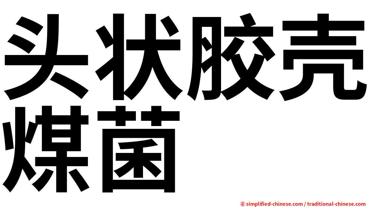 头状胶壳煤菌