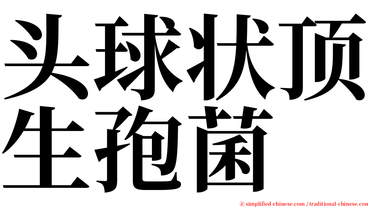 头球状顶生孢菌 serif font