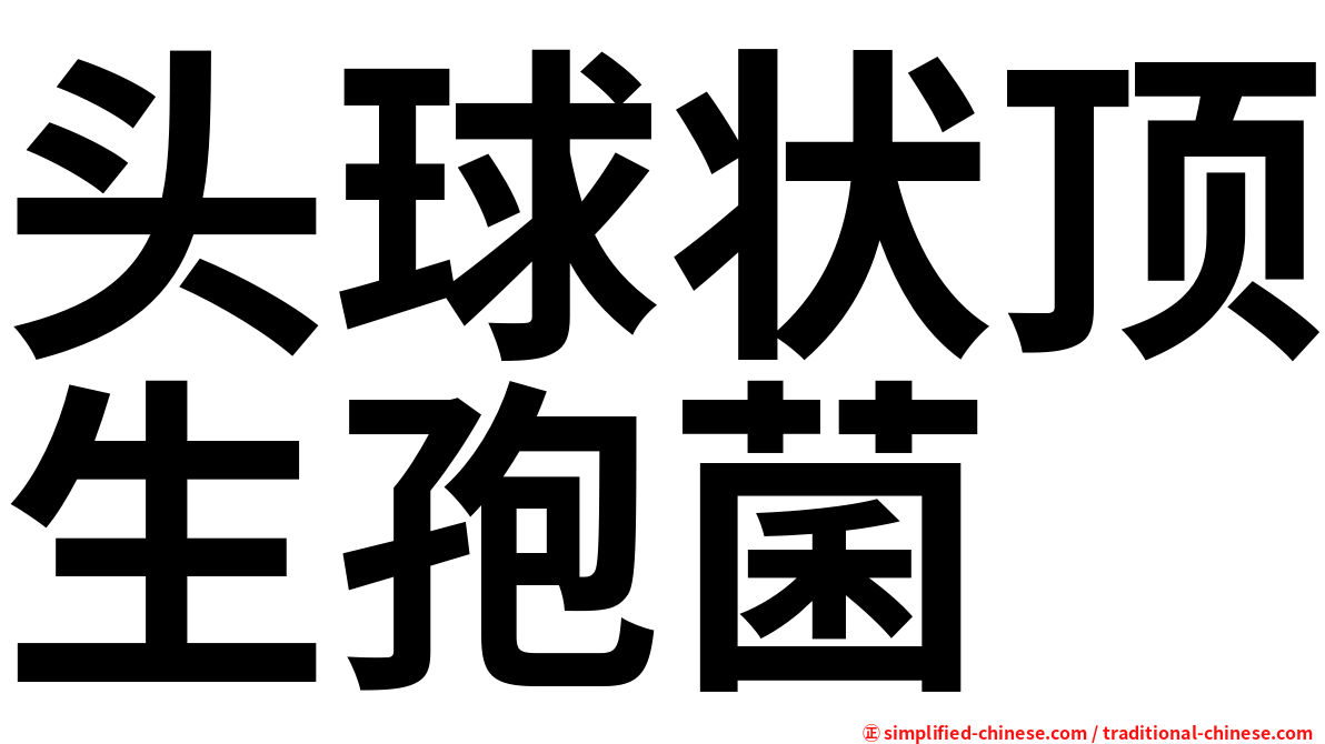 头球状顶生孢菌