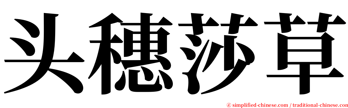 头穗莎草 serif font