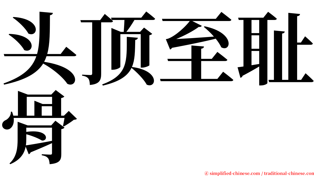 头顶至耻骨 serif font