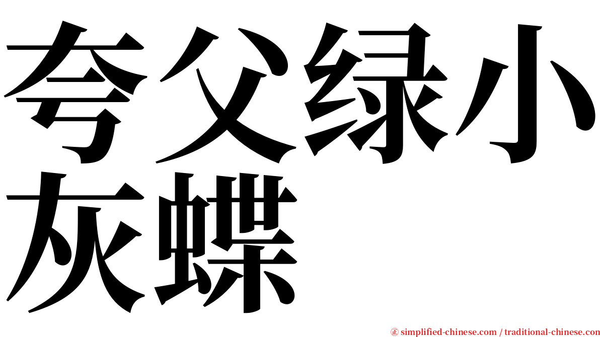 夸父绿小灰蝶 serif font