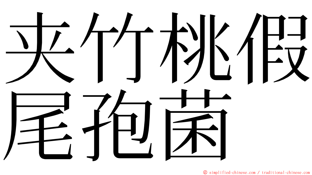 夹竹桃假尾孢菌 ming font