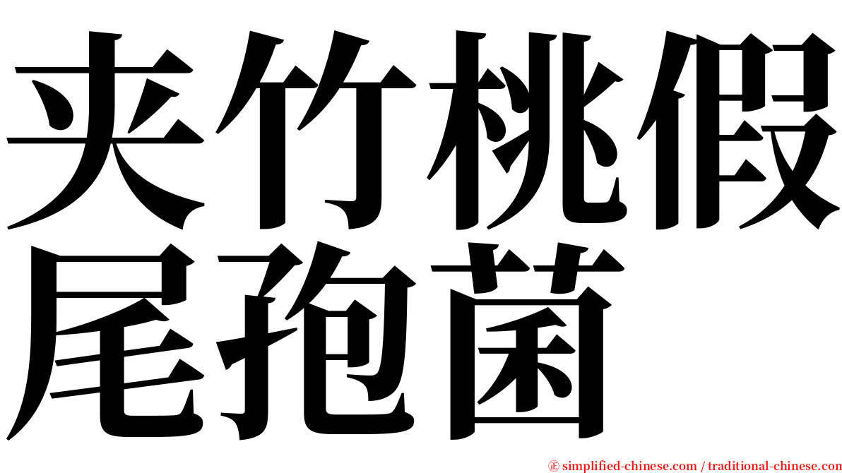 夹竹桃假尾孢菌 serif font