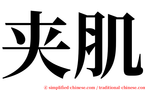 夹肌 serif font