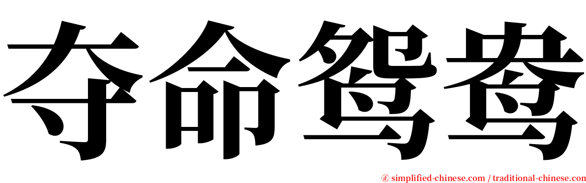 夺命鸳鸯 serif font