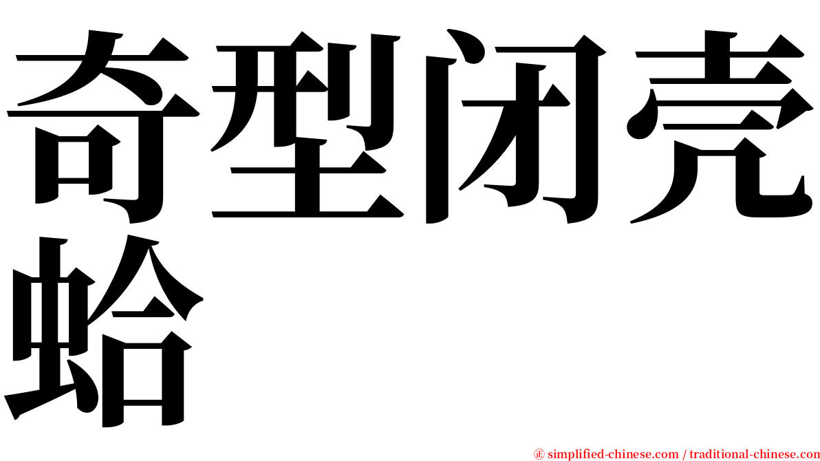 奇型闭壳蛤 serif font