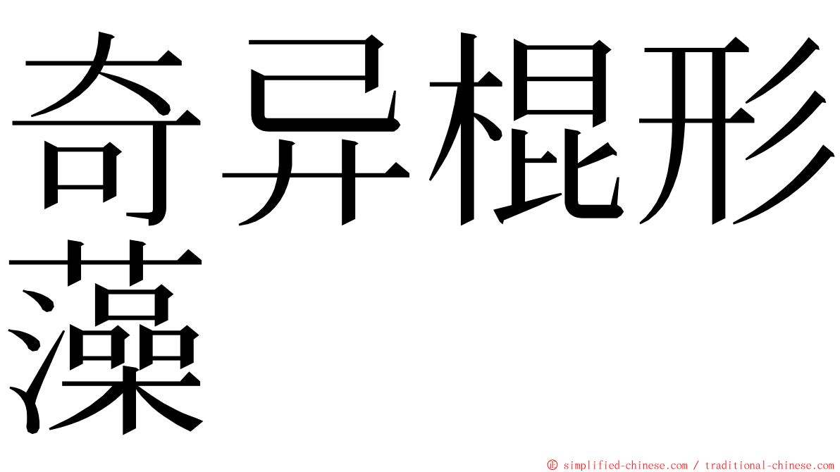 奇异棍形藻 ming font