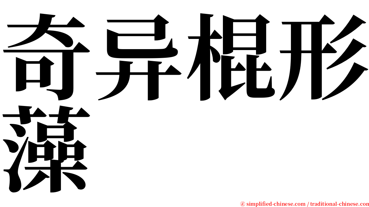 奇异棍形藻 serif font