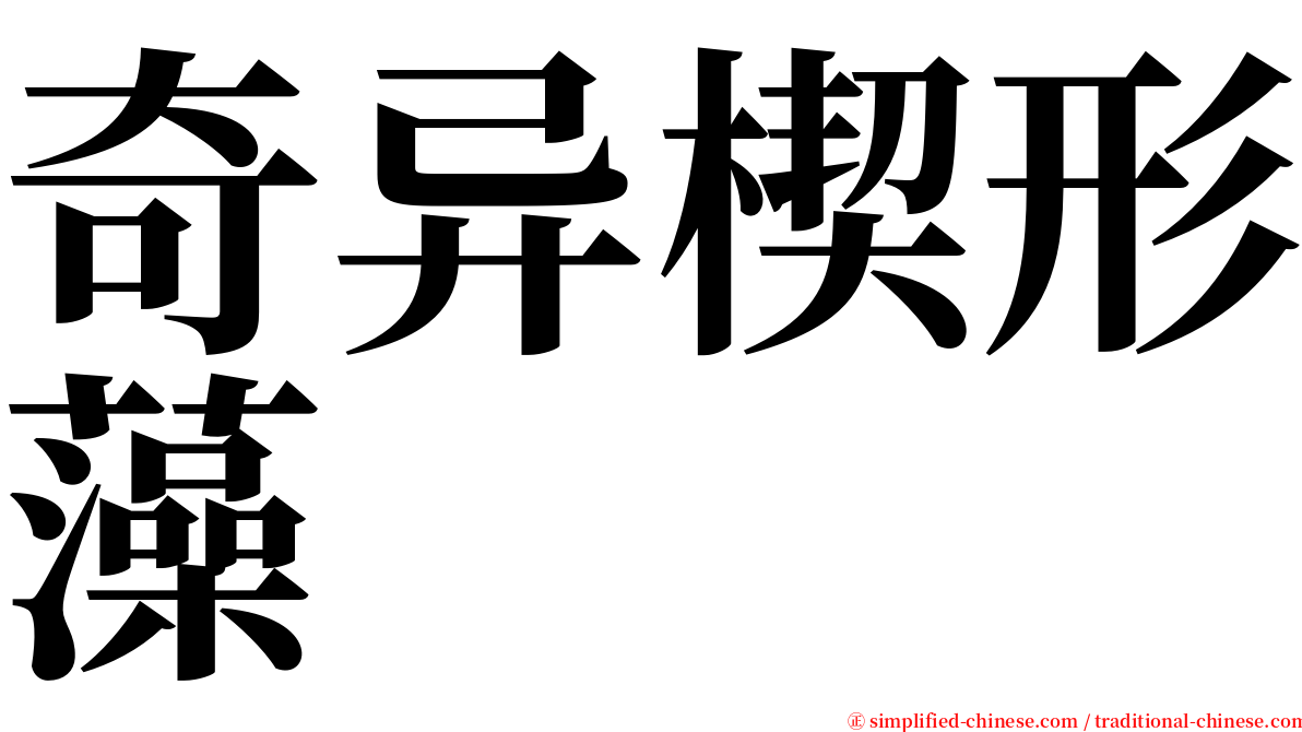 奇异楔形藻 serif font