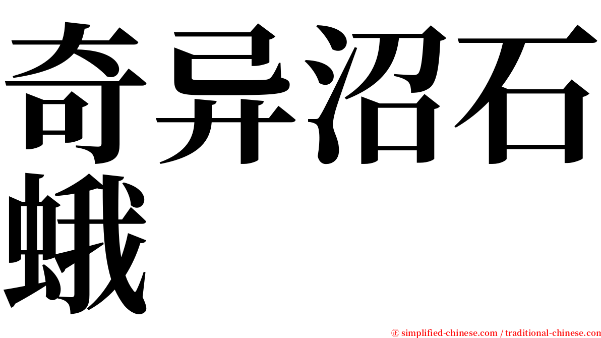 奇异沼石蛾 serif font