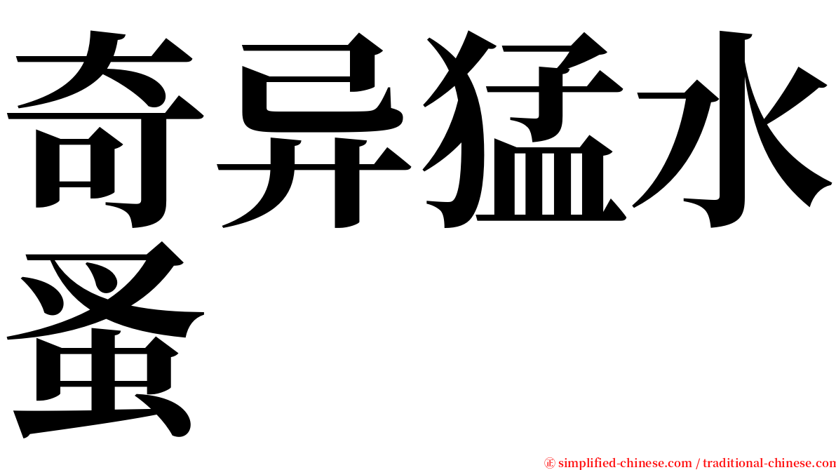 奇异猛水蚤 serif font