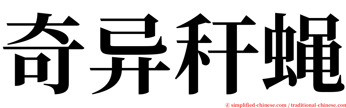 奇异秆蝇 serif font