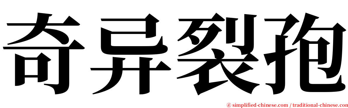 奇异裂孢 serif font