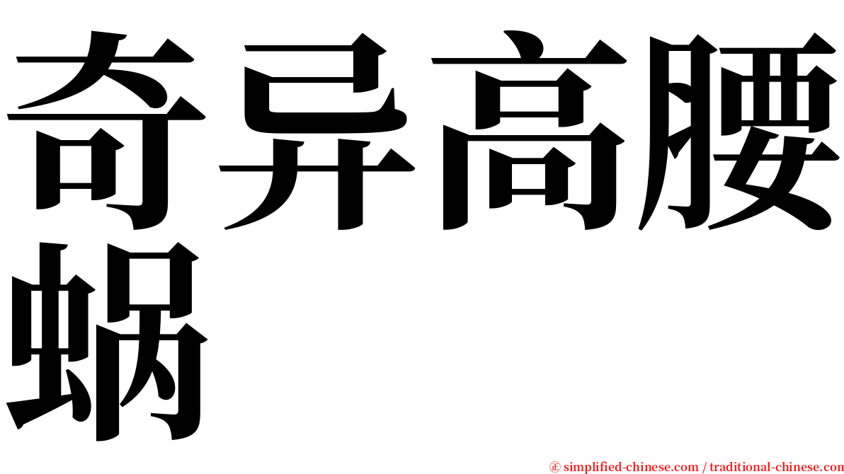 奇异高腰蜗 serif font