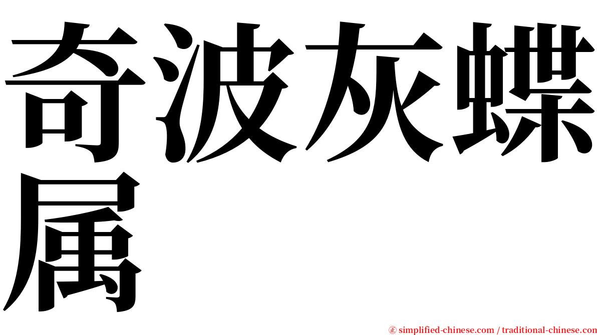 奇波灰蝶属 serif font