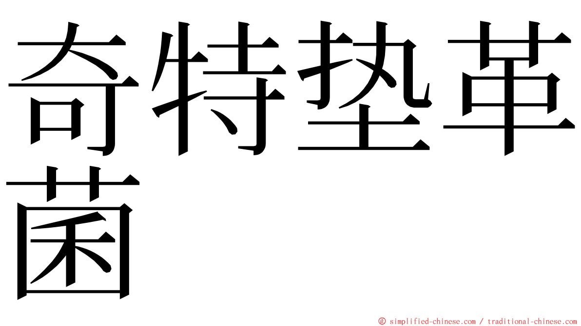 奇特垫革菌 ming font