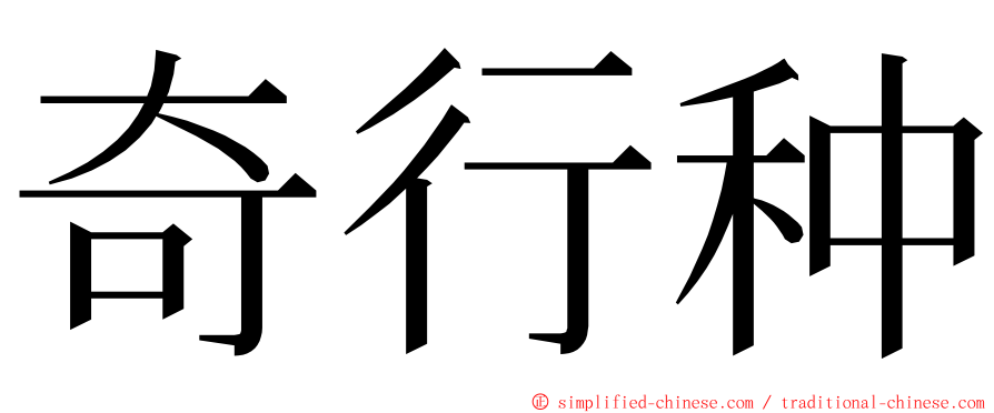 奇行种 ming font