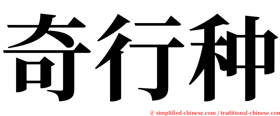 奇行种 serif font