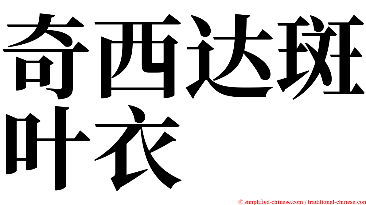 奇西达斑叶衣 serif font