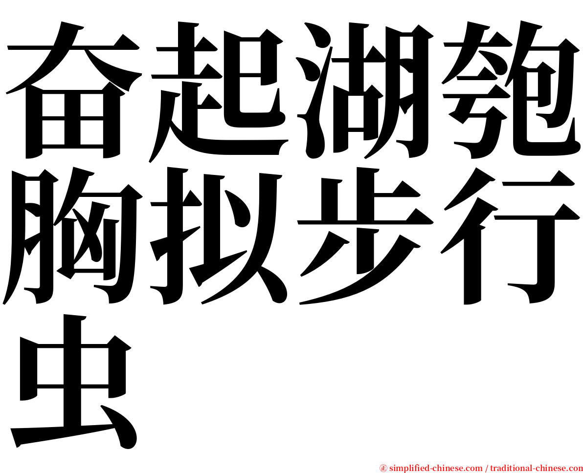 奋起湖匏胸拟步行虫 serif font