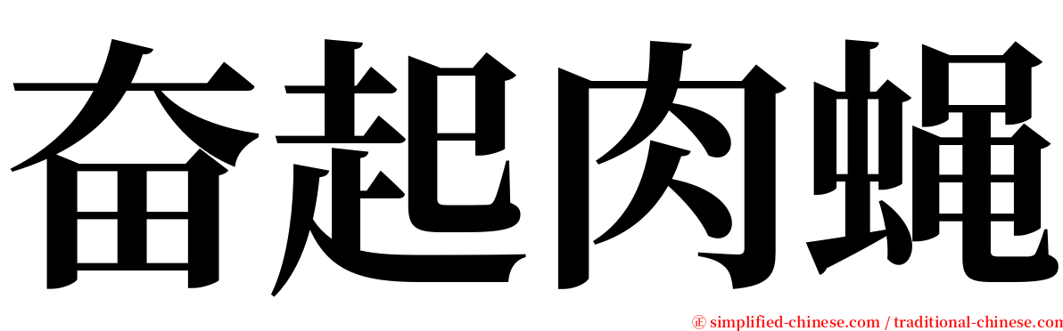 奋起肉蝇 serif font