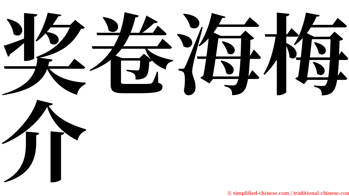 奖卷海梅介 serif font