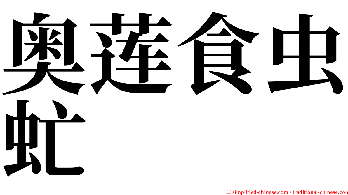 奥莲食虫虻 serif font