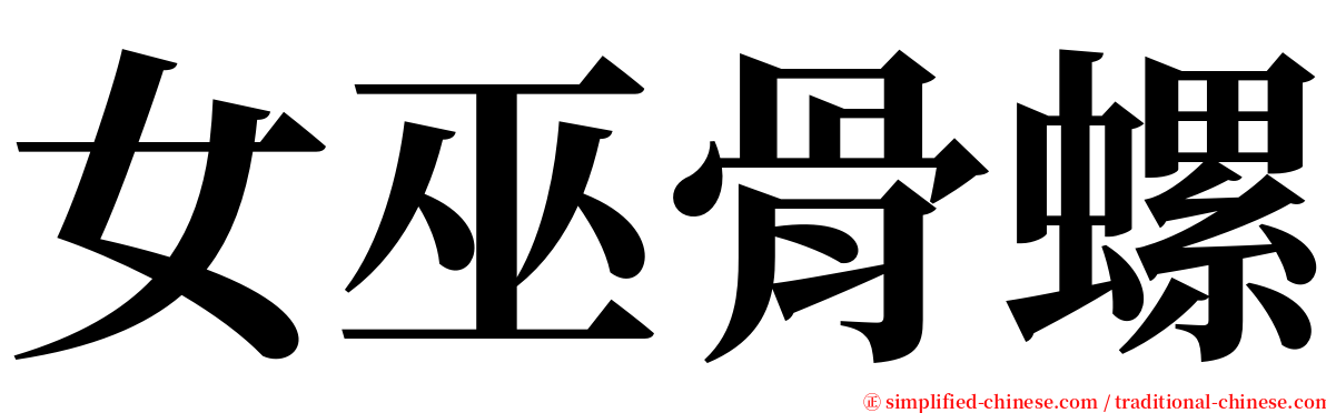 女巫骨螺 serif font