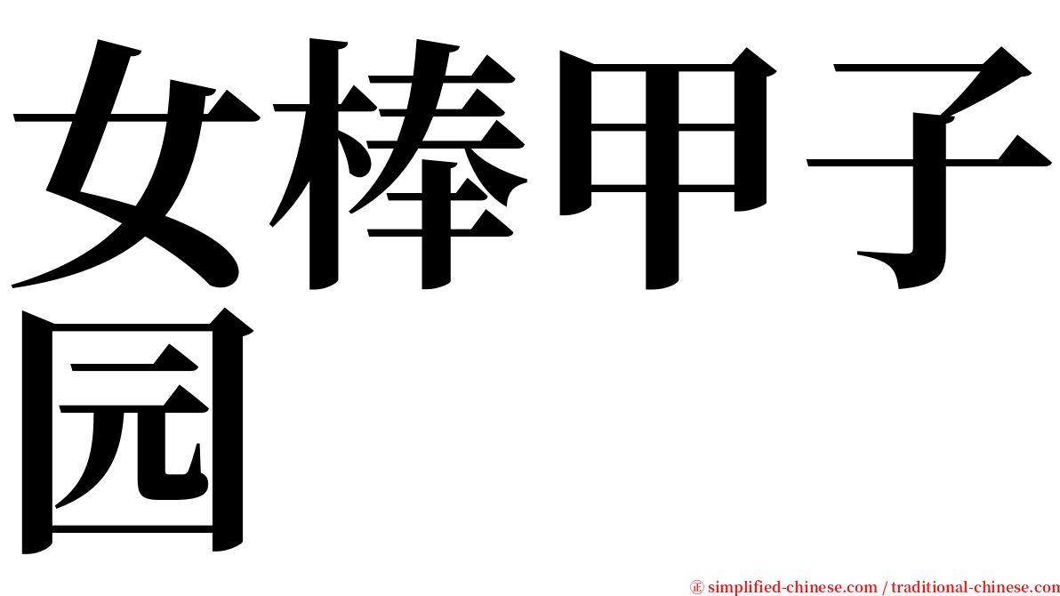 女棒甲子园 serif font